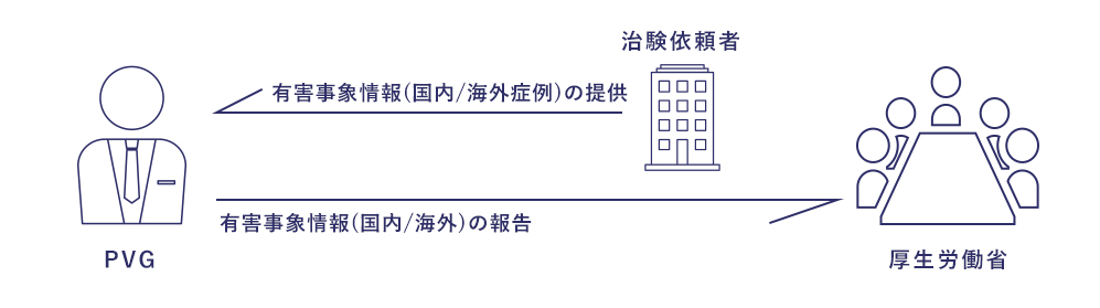 PVGの業務内容